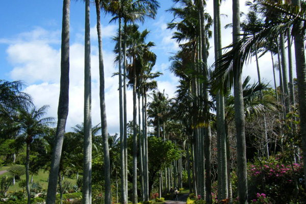 東南植物楽園